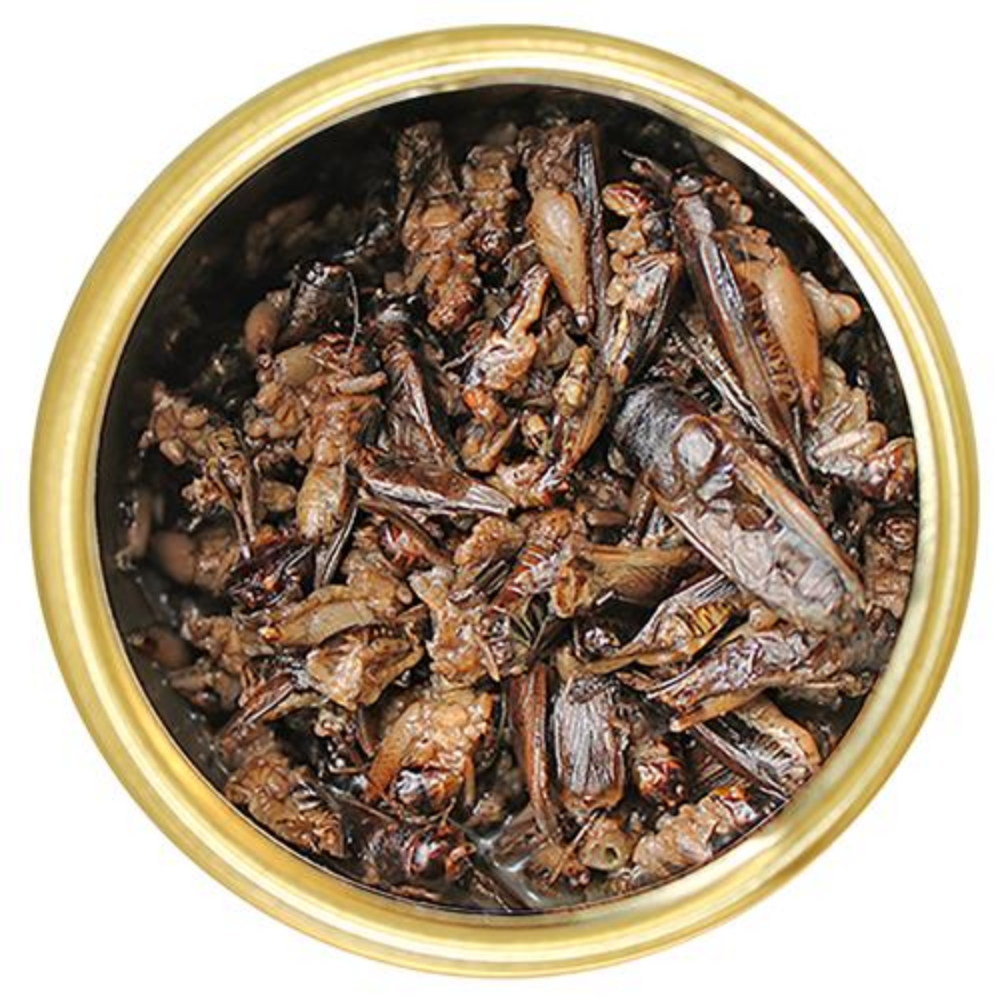 Grillos Enlatados - Image 2