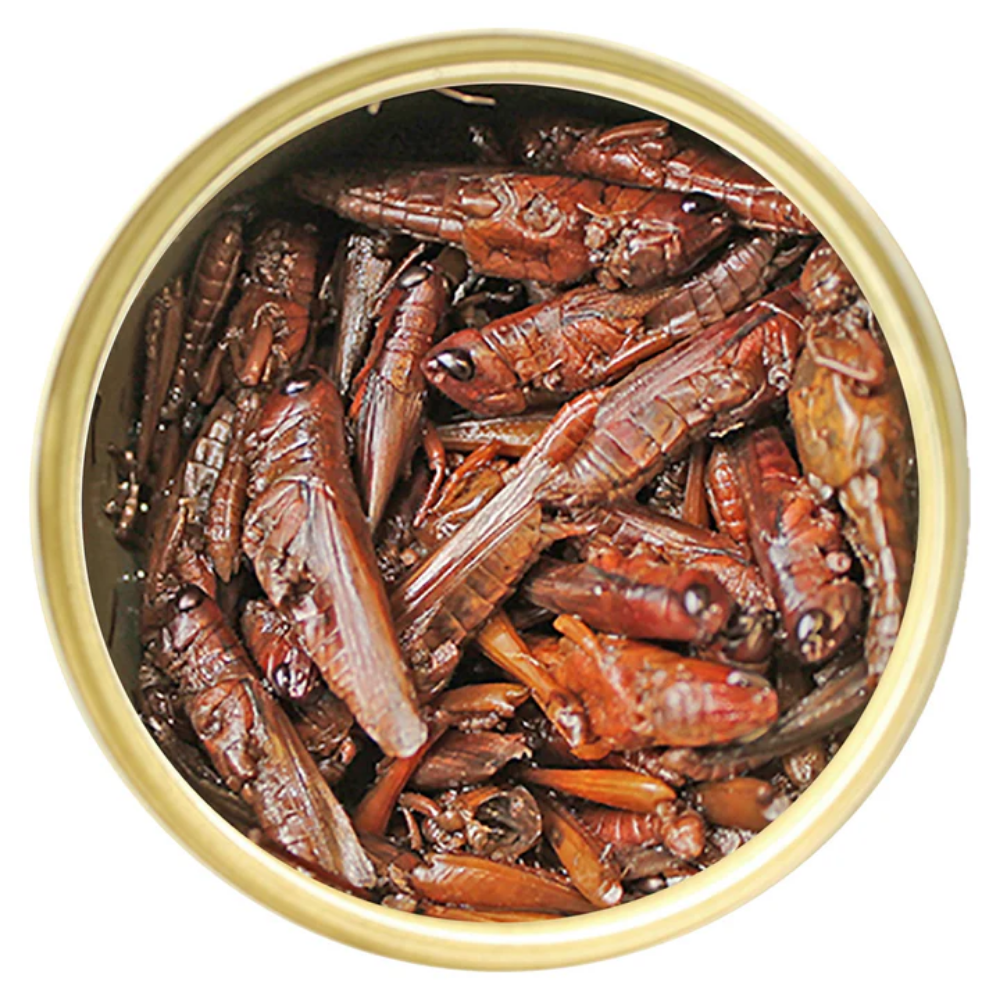 Saltamontes Enlatados - Image 2