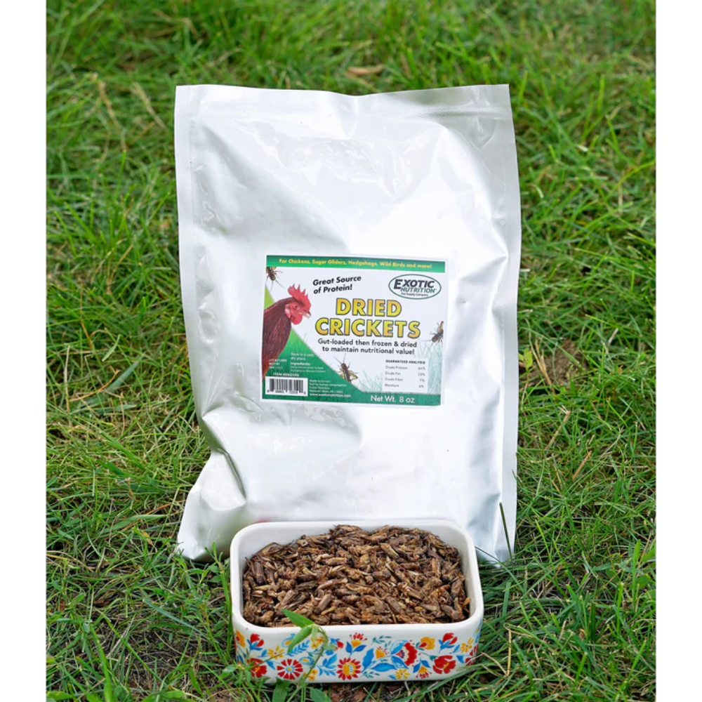 Grillos Deshidratados – 8 oz - Image 4