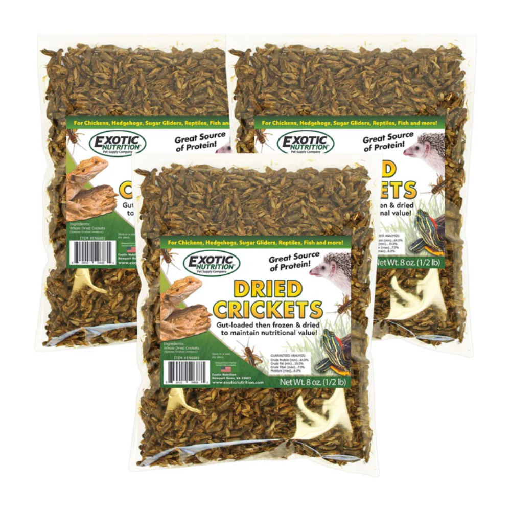 Grillos Deshidratados – 8 oz - Image 10
