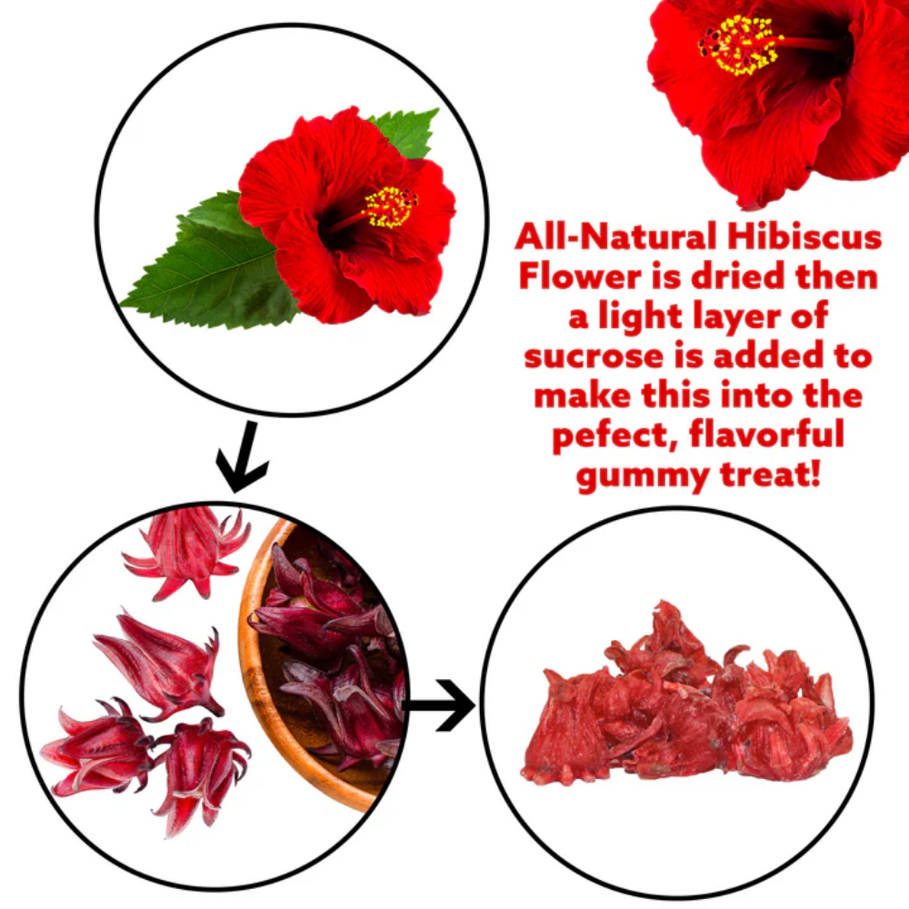 Flor de Jamaica Dulce - Image 8